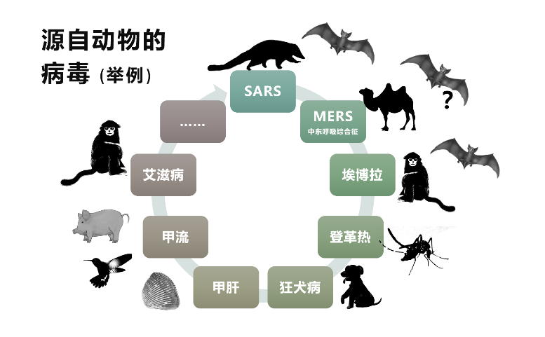 图片 5